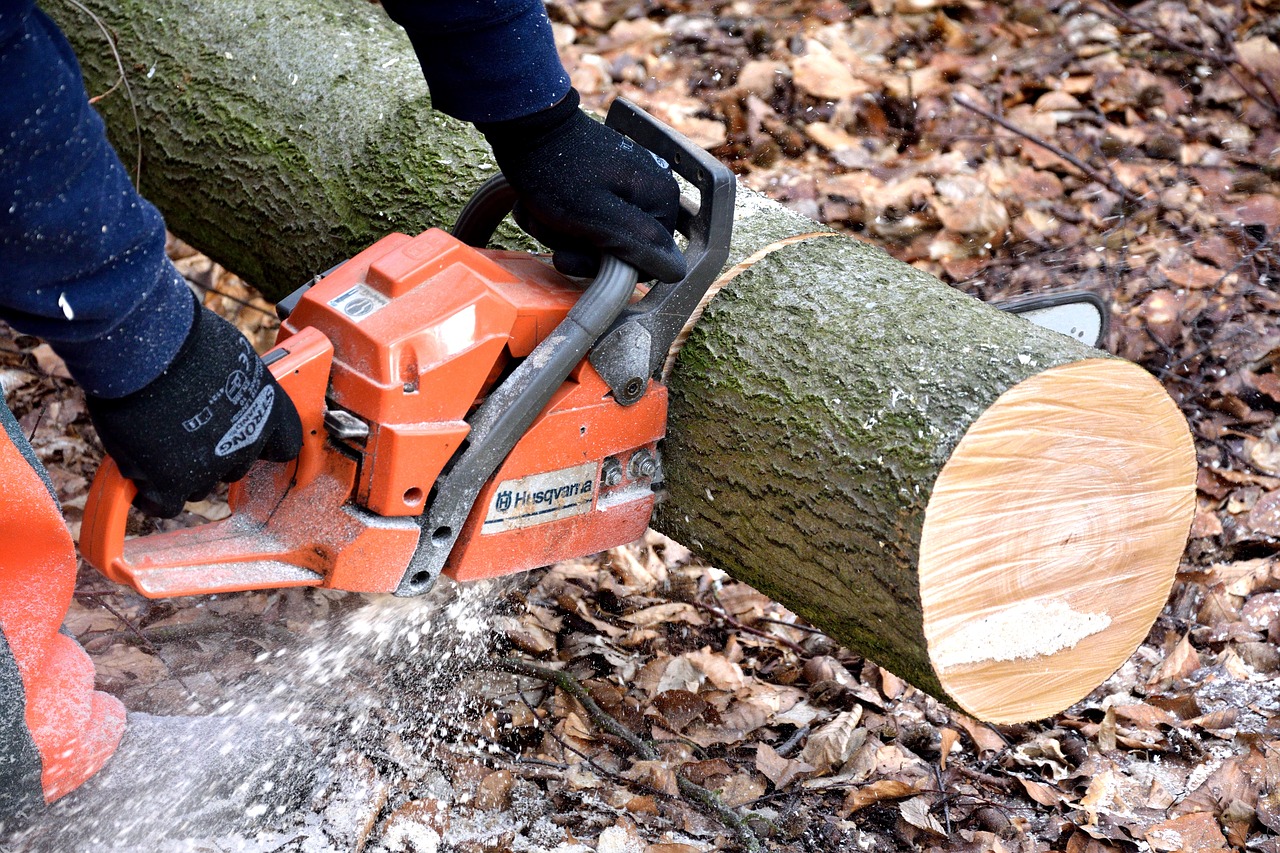 Jakie narzędzia są potrzebne do pracy z drewnem?