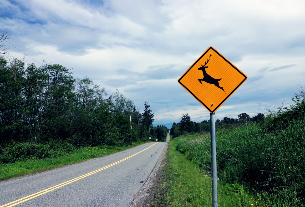 Znaki drogowe – dlaczego są ważne?